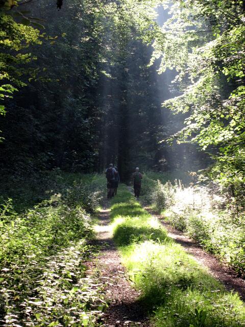 Wanderer erleuchtet
