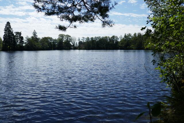 Schlüchtsee bei Grafenhausen