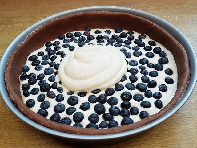 Das Innenleben meines Blaubeerkäsekuchens