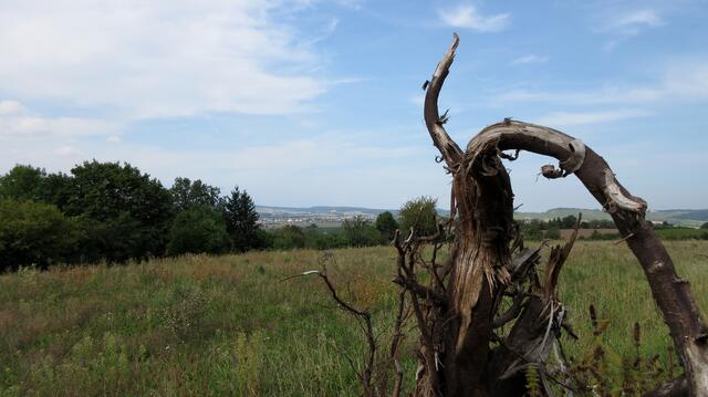 Die Landschaft malt die schönsten Bilder