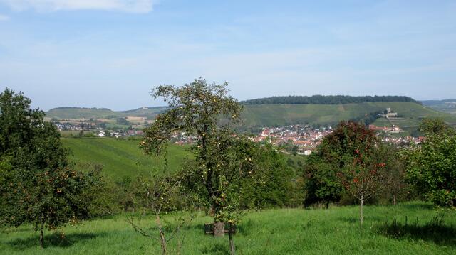 Ruine Helfenberg, Schloss Wildeck und die Burg Beilstein auf einem Bild