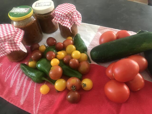 Gemüse_Pesto