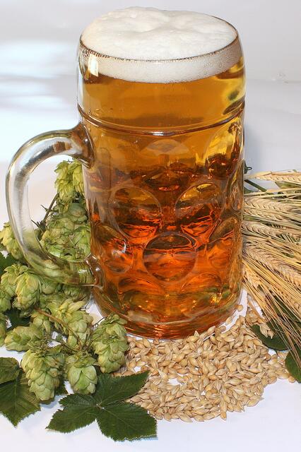 Bier aus bestem Hopfen und Malz