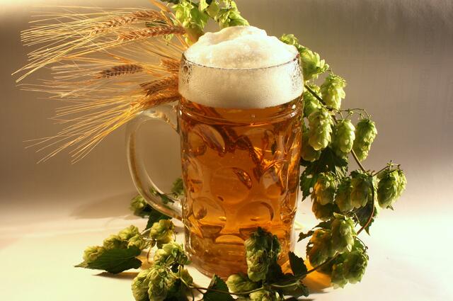 Bier im höchsten Reinheitsgebot