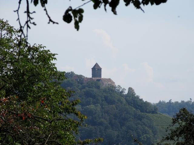 Die Burg Lichtenberg