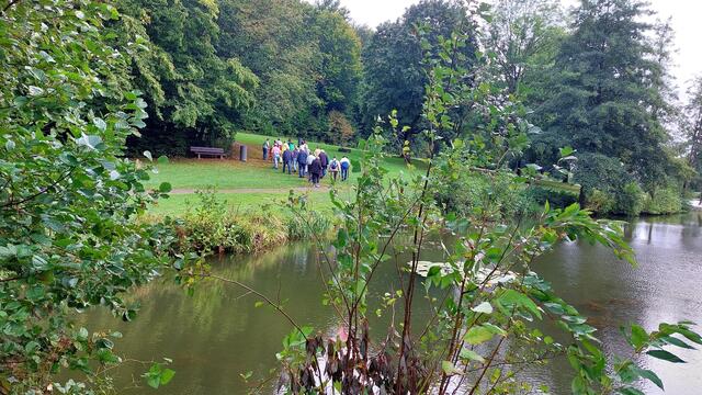 Weiter durch den Wald
