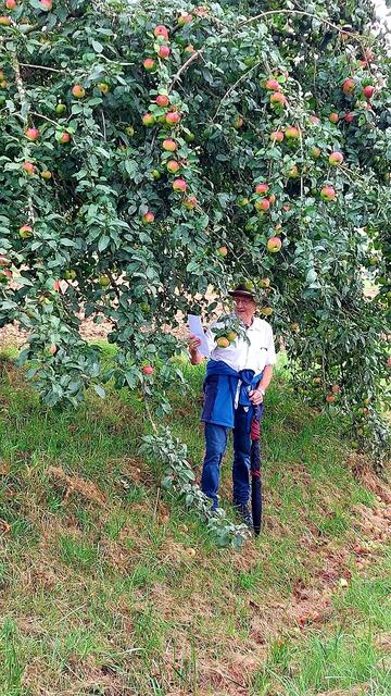 Gedichtvortrag unterm Apfelbaum