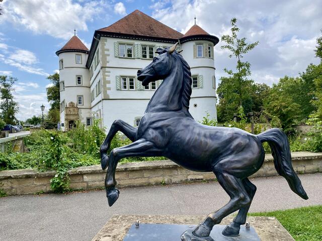 Wasserschloß Bad Rappenau