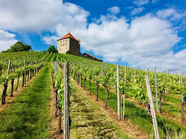 Burg Wildeck