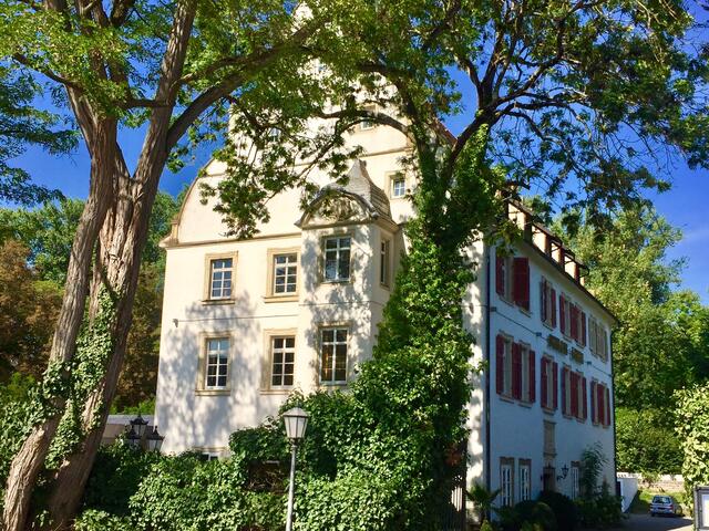 Schloss Lehen in Kochendorf