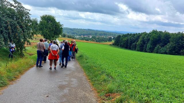 Blick zum Schleierhof