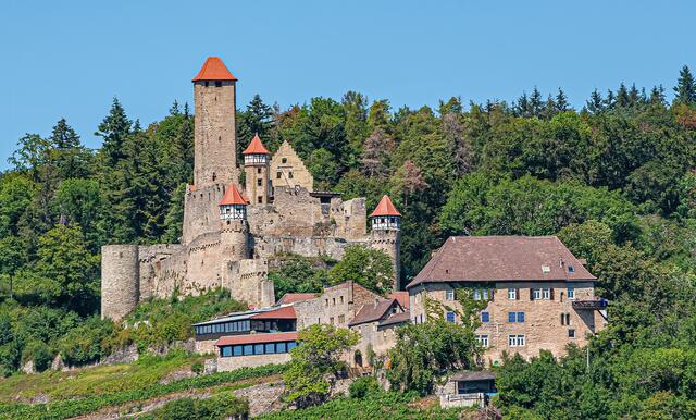 Burg Hornberg am Neckar