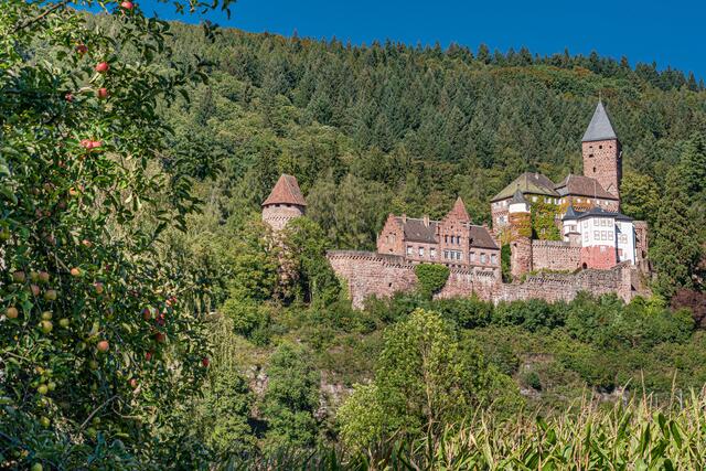 Schloss Zwingenberg am Neckar