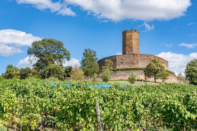 Burg Steinsberg im Kraichgau