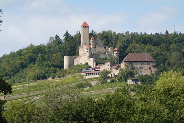 Immer wieder schön, der Blick von der Haßmersheimer Neckarseite auf Burg Hornberg.