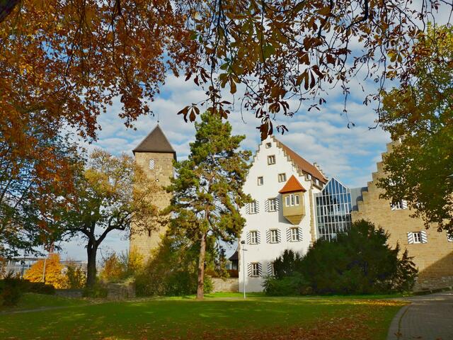 Deutschordenschloss Neckarsulm