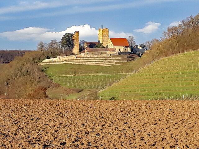 Burg Neipperg
