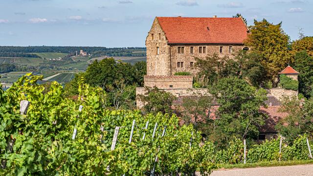 Schloss Magenheim über Cleebronn, im Hintergrund Burg Neipperg