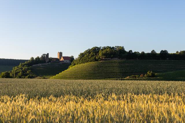 Burg Neipperg in goldenen Sonnenlicht