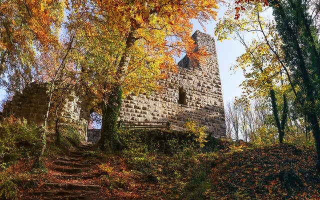 Burgruine Blankenhorn im Herbst