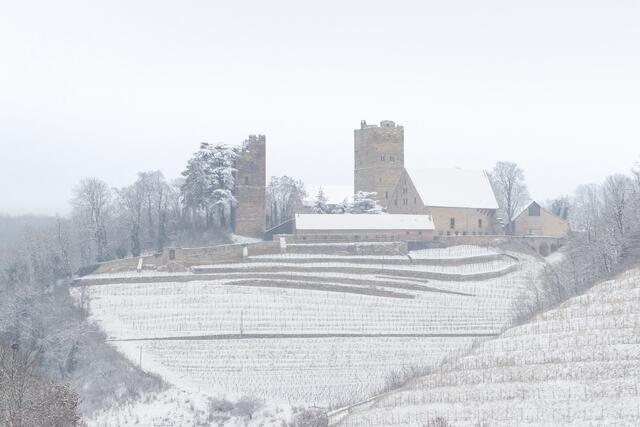 Burg Neipperg im Schneemantel