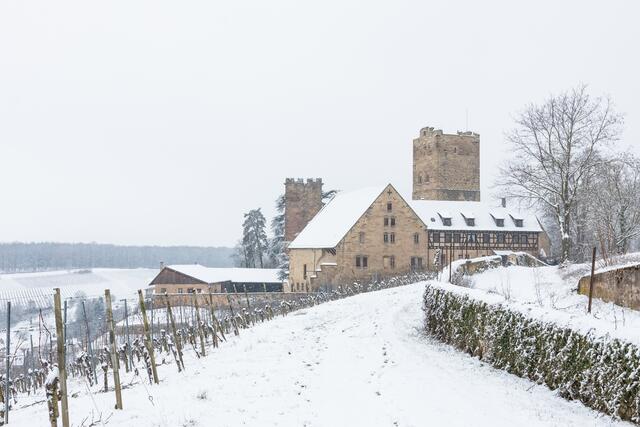 Burg Neipperg eingeschneit