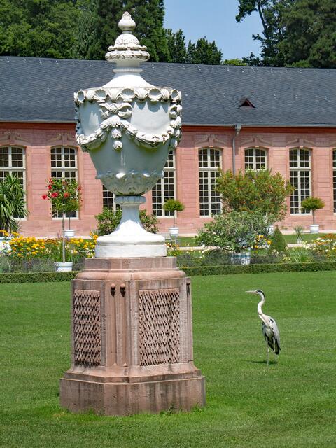 In Schwetzinger Schlosspark