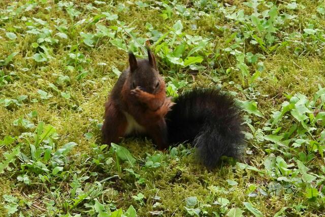 ... stinke ich hier noch etwas unter den Achseln :-(