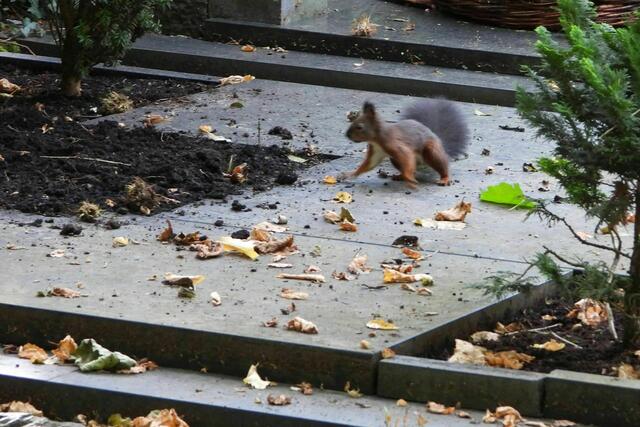 Uuuppsi, beim Trockenrennen etwas Dreck aufgewirbelt ;-)))