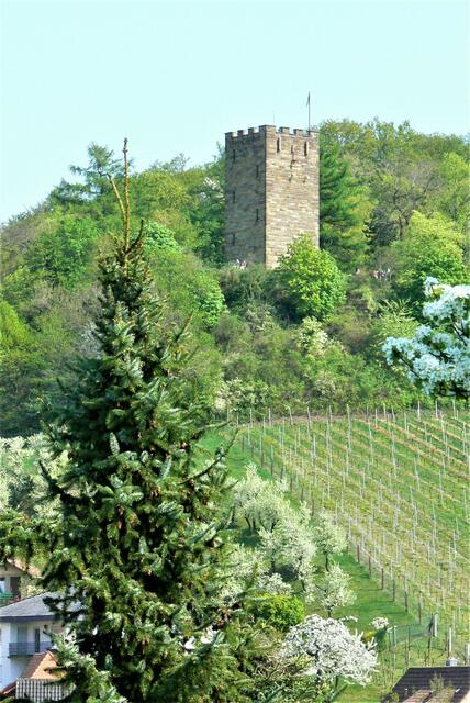 Sternenfels