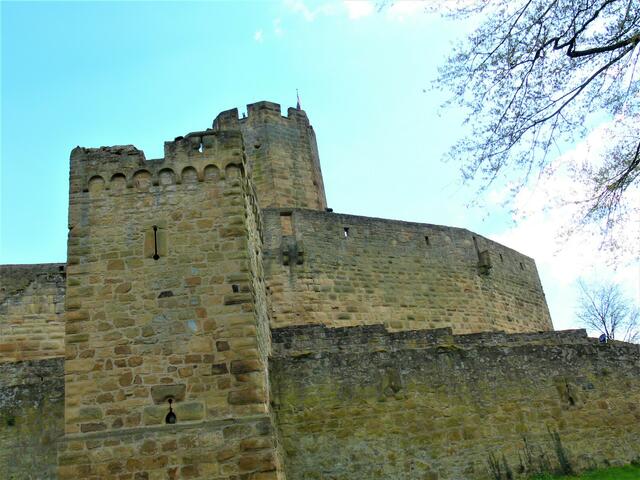 Wehrhafte Burg Steinsberg