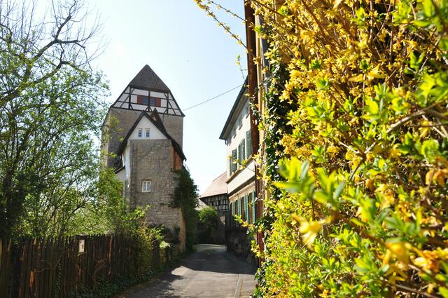 Burg in Horkheim