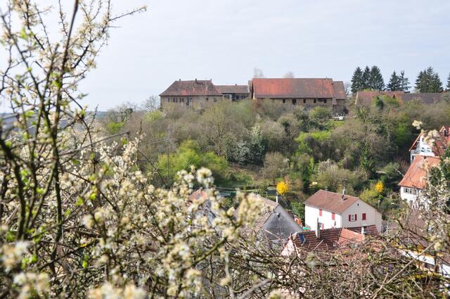 Neippergsche Schloss Klingenberg im Frühjahr