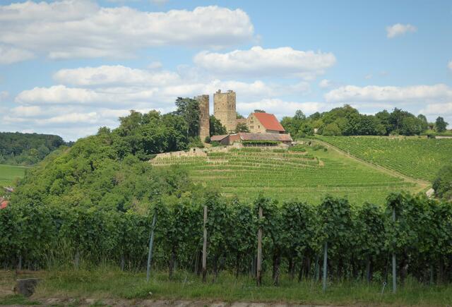 Burg Neipperg