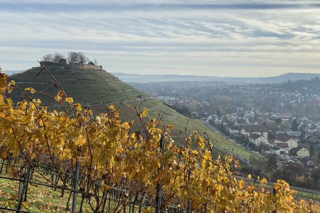 Burgruine Weibertreu im Herbst