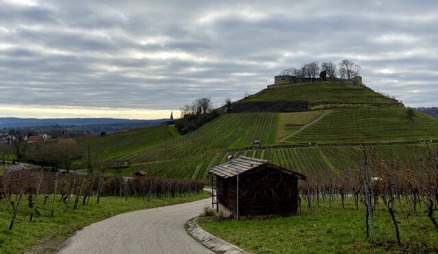 Burgruine Weibertreu - fast schon im Winter!