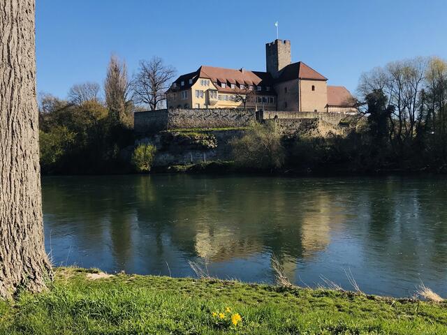 Lauffener Rathausburg