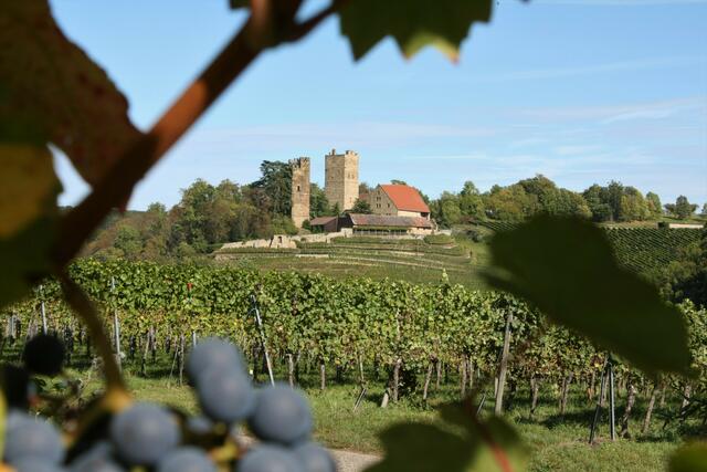 Burg Neipperg im Herbst