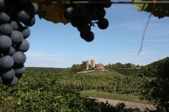 Neipperger Burg im Herbst