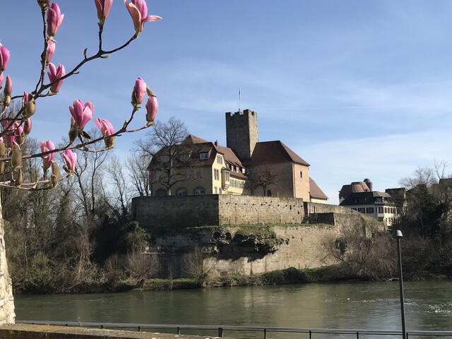 Lauffener Burg
