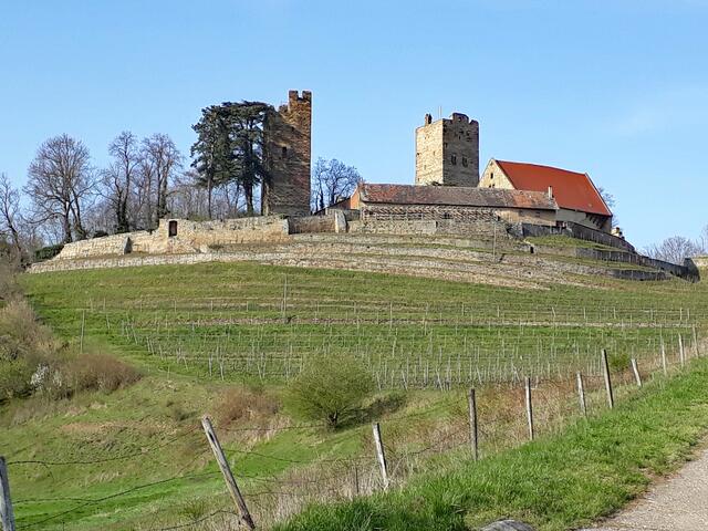 noch einmal die fotogene Burg Neipperg