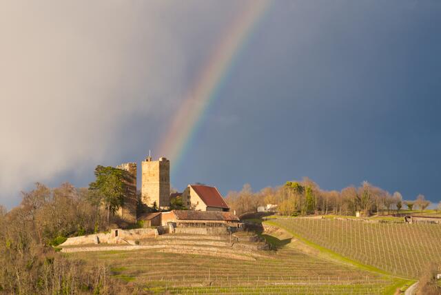 Burg Neipperg mit Regenbogen