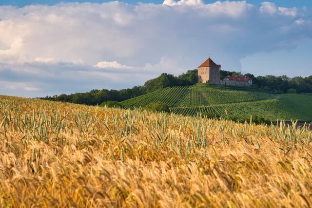 Sommerliche Burg Wildeck