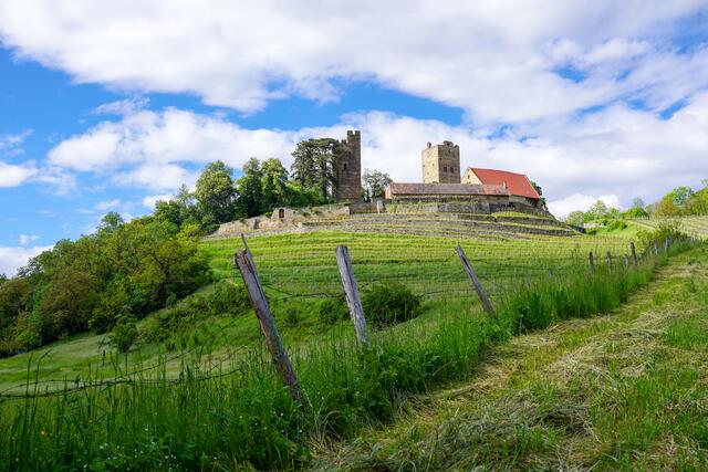 Burg Neipperg im Frühling