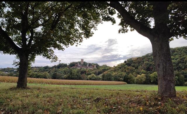 Burg Ehrenberg