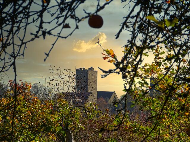 Herbststimmung Burg Neipperg