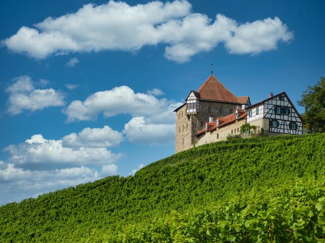 Burg Wildeck im Sommer
