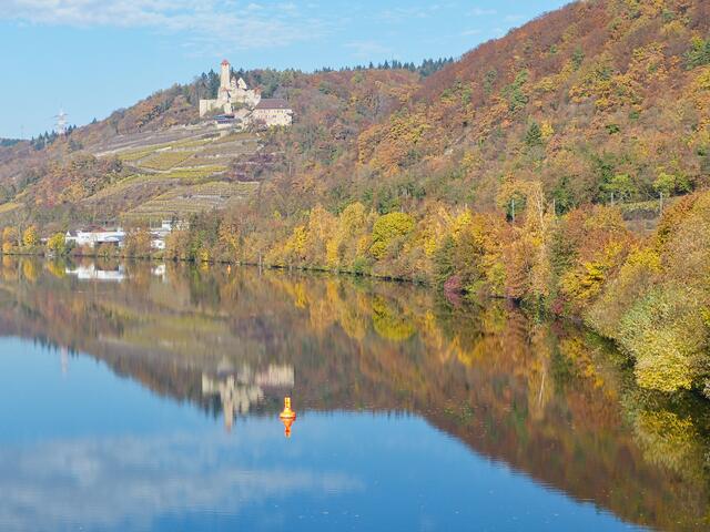 Herbstlicher Blick auf Burg Hornberg