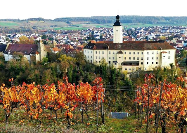 Schloss Horneck