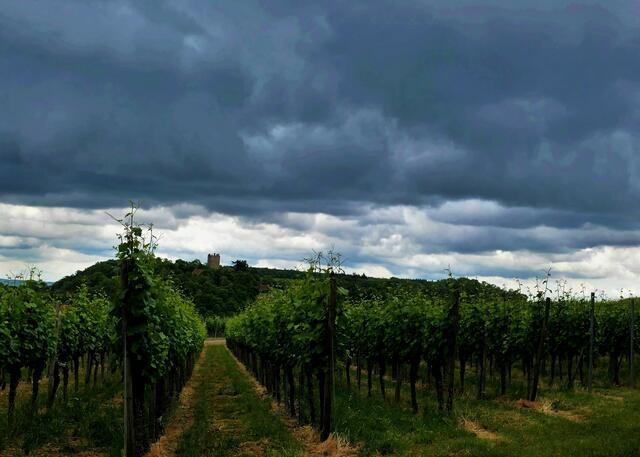 Burg Neipperg II